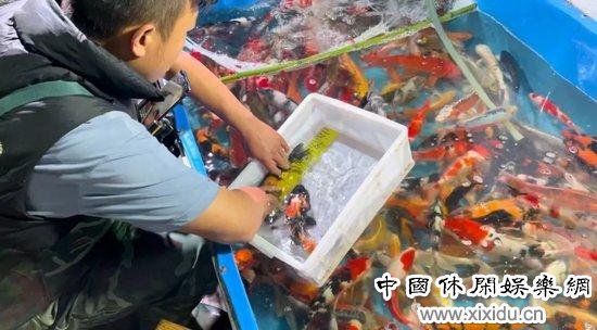 ��������������Ľ�����۶�����ͼ/������ ��