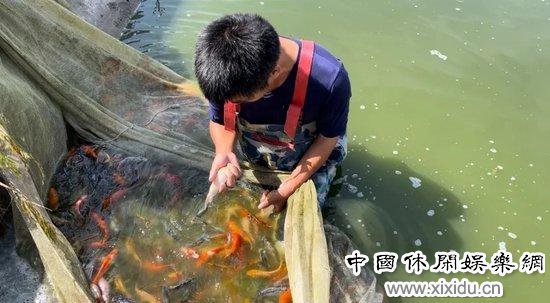 ֻ����Ϊ����Ⱥ�ж࿴��һ�ۣ����ܾͱ���̭�ˡ�ͼ/������ ��