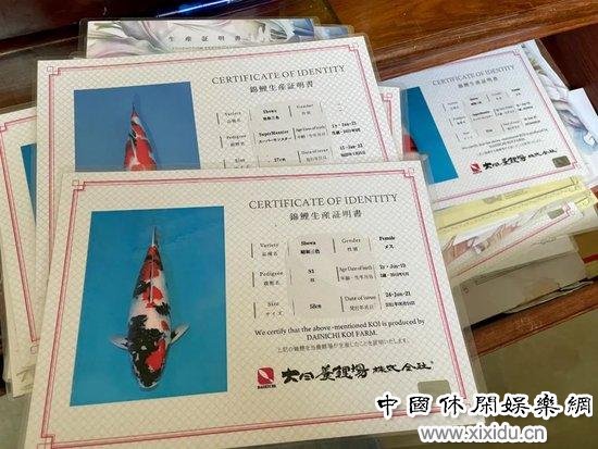 �����ձ��߼������Ľ���ÿ������һ��д�Ż�����Ϣ������֤����ͼ/������ ��