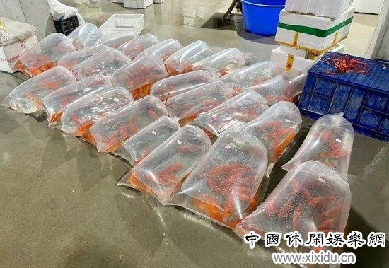 ���պ��ˣ������ϡ�ͼ/������ ��