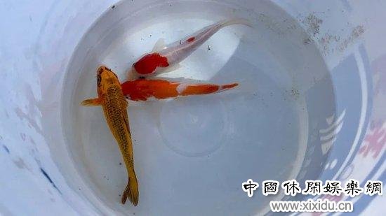 ��ʱ�մӳ��������������������𣬻���֪�����˵ĳ����Ѿ���ʼת����ͼ/������ ��